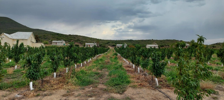 Commercial Property for Sale in Ladismith Rural Western Cape